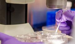 1625791398498436.jpg image.jpg