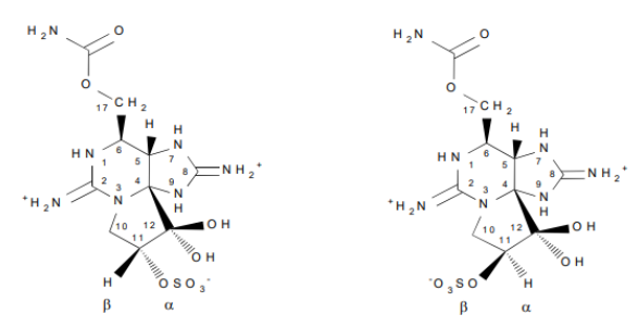 1666855002406599.png image.png