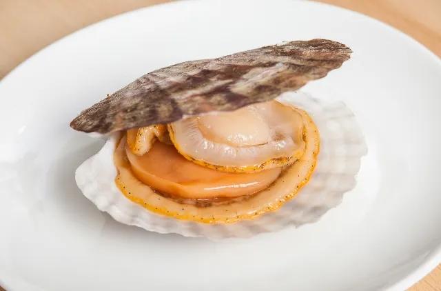 1666862330326564.jpg src=http___bkimg.cdn.bcebos.com_pic_63d9f2d3572c11dfb78b777e6e2762d0f703c211&refer=http___bkimg.cdn.bcebos.webp.jpg