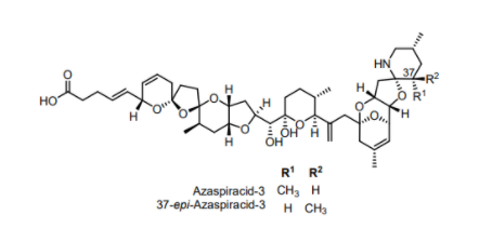 1667185404683880.png image.png